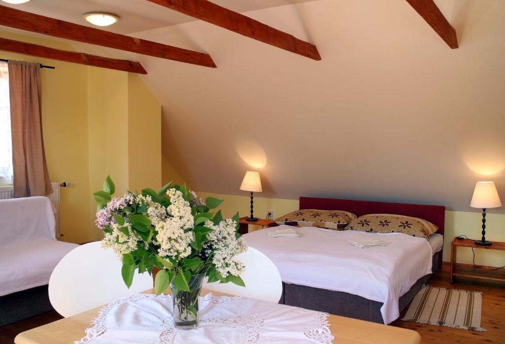 Penzion Kremenisko Banská Štiavnica Habitación foto